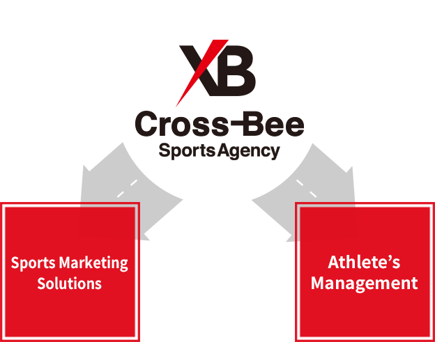 The Professionals of Sports Marketing